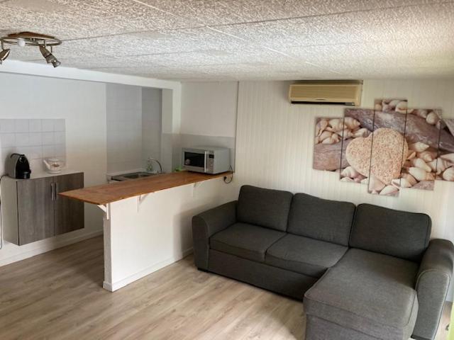 L'Appartement Du Micocoulier Salon-de-Provence Ngoại thất bức ảnh